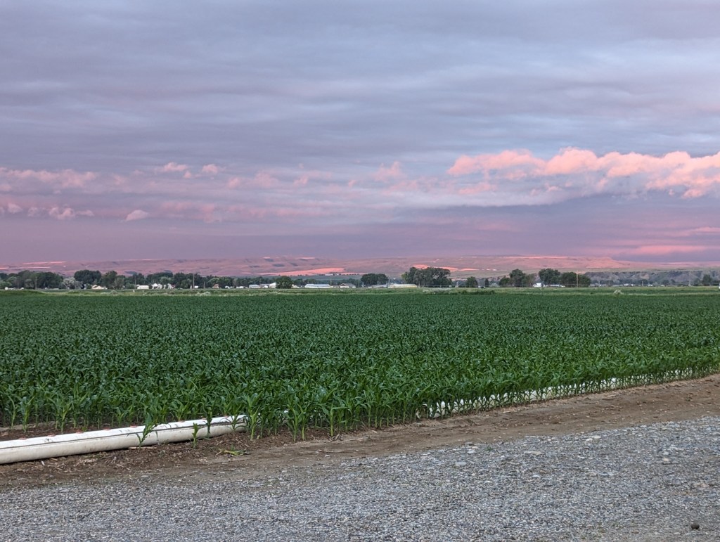 Montana sunset over open land at my grandmother’s house